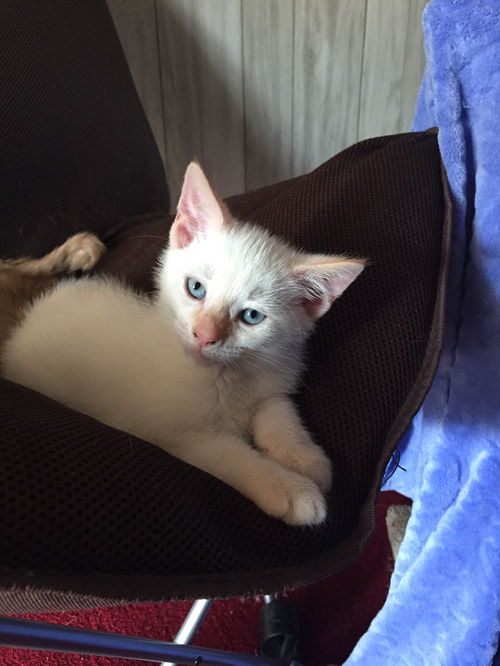 Milton