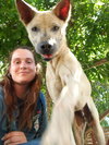 Danillo (Soi Dog) - Photo 3