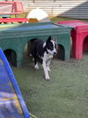 Piarom - Photo 2