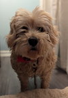 Thoory - Photo 1