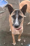 Maverick - Photo 2