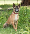Maverick - Photo 3