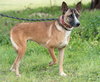 Maverick - Photo 4