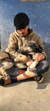 Petrol (KSAR) - Photo 2