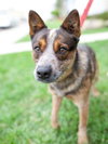 Pryor - Photo 1