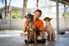 Tanbobby (Soi Dog) - Photo 4