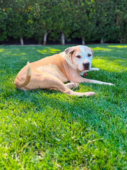 Buster photo 3