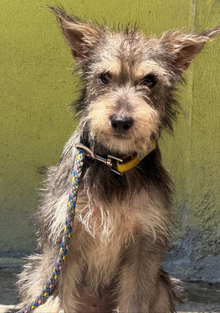 Frida, photo 3