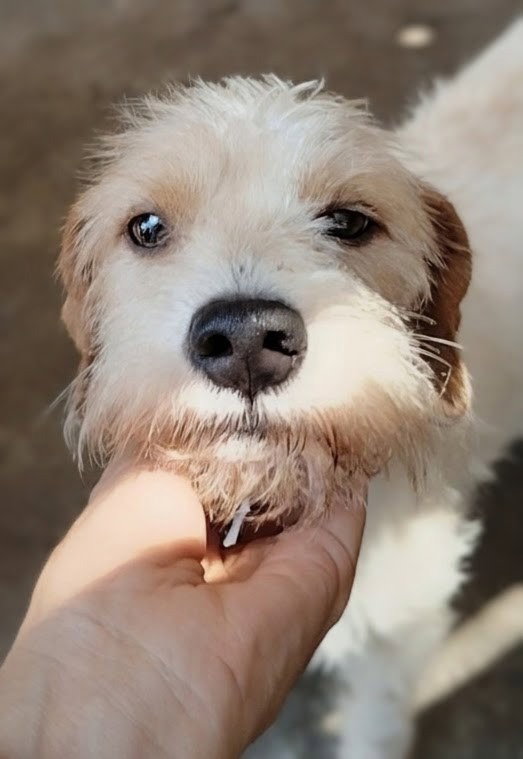 Zeus, photo 2