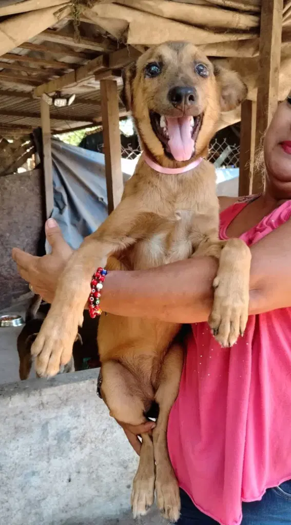 Chiquis image 3