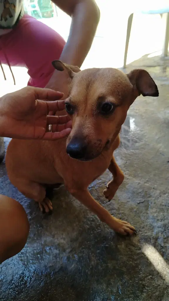 Flaca image 4