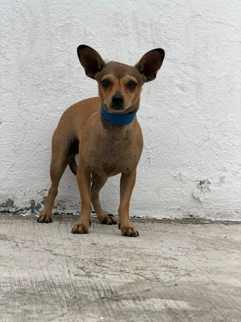 Mia image 2