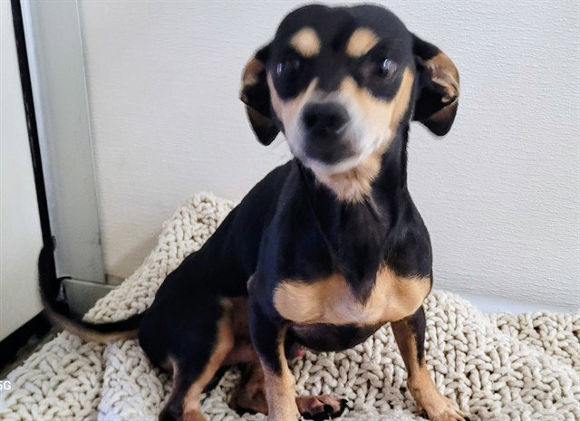 TITO