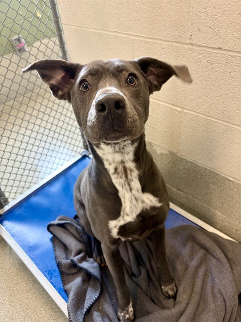 LUNA