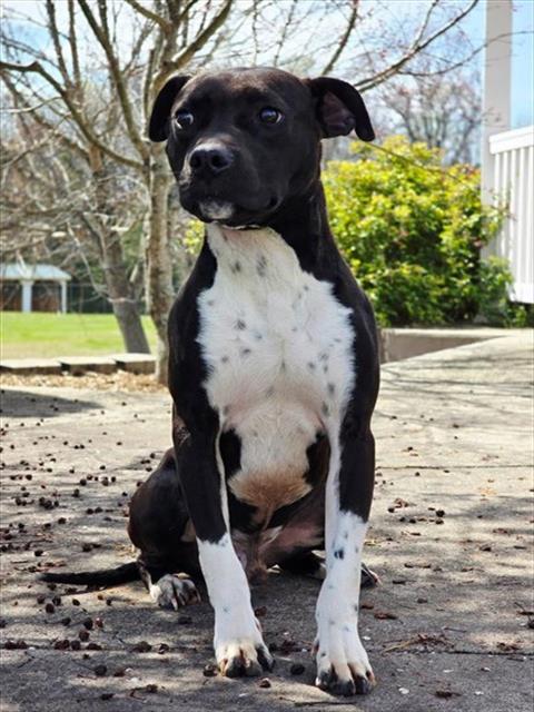 WINSTON Image
