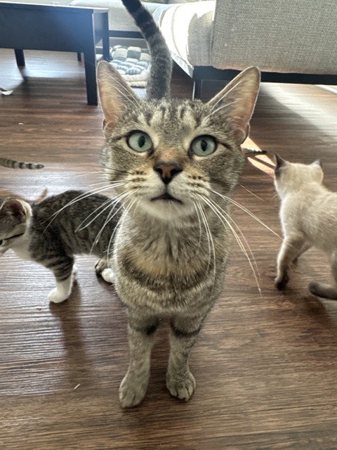 SABRINA