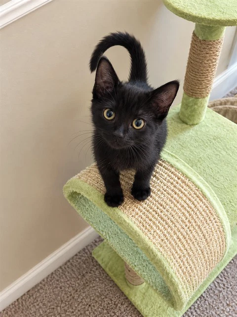 Fred