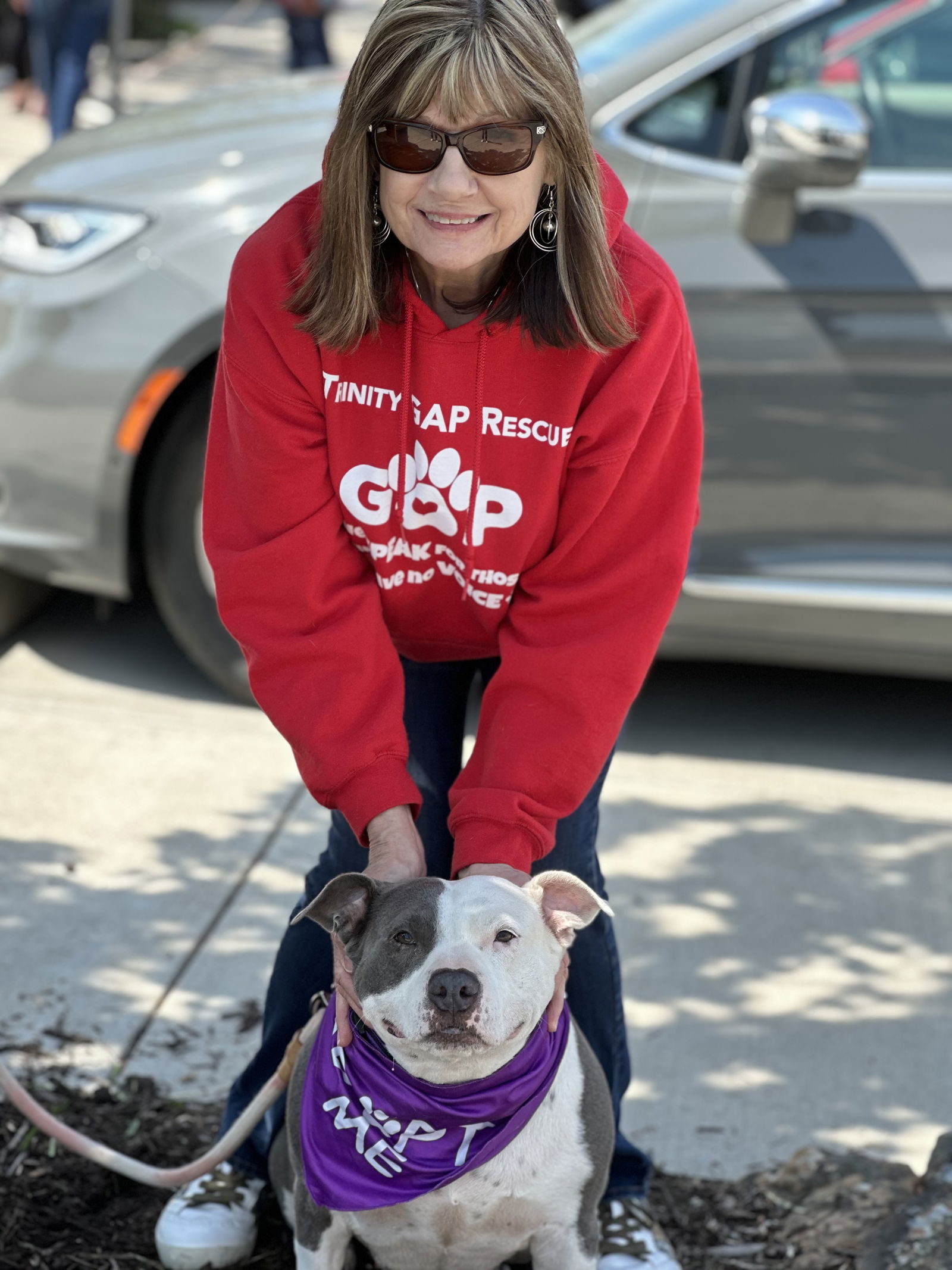 adoptable Dog in Euless, TX named Harper