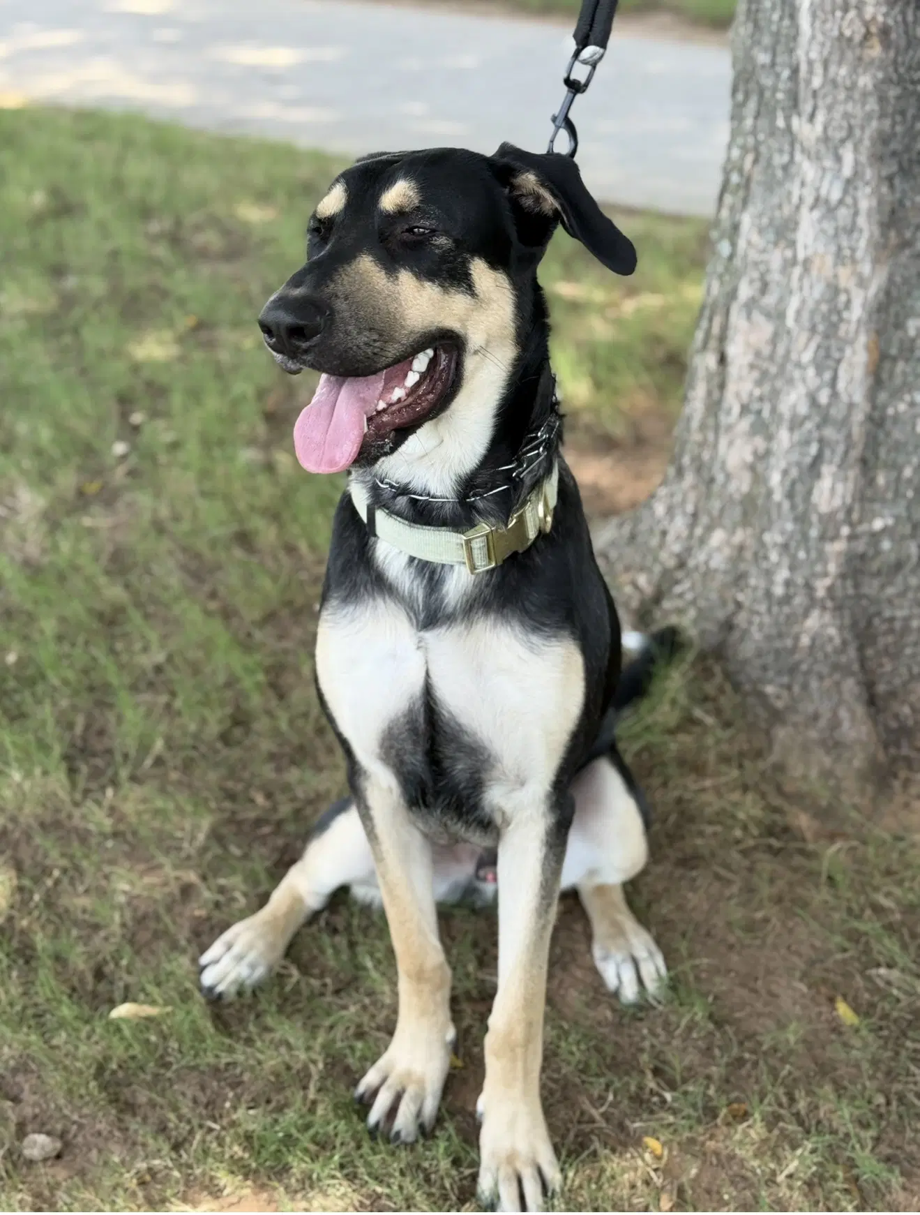 Ryker image 2