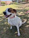 Moxie - Photo 3