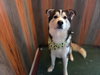 Oso - Photo 3
