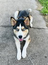Courtesy: Gaston - Photo 4