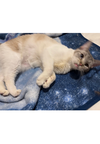 Luna - Courtesy Post - Photo 3