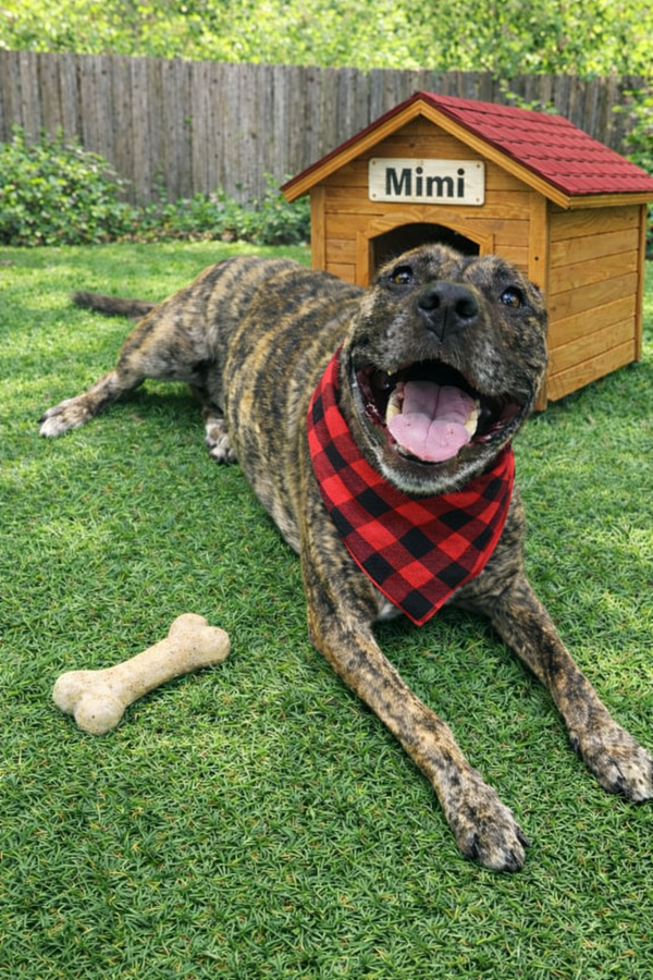Mimi