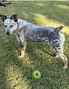 Laney Wilson - Photo 2
