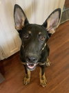 Lola - Photo 1