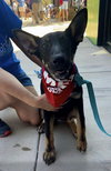 Lola - Photo 3
