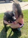 Raider - Photo 1
