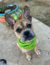 Watson - Photo 3