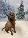 Baylor - Photo 3