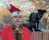 Sugar Plum - Photo 4