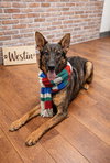 Westin - Photo 3