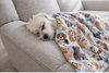 Jingles - Photo 3