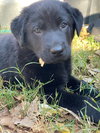 Jerry - Photo 2