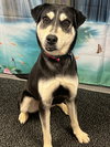 Missy - Photo 3