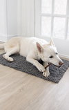 Daxton - Photo 2