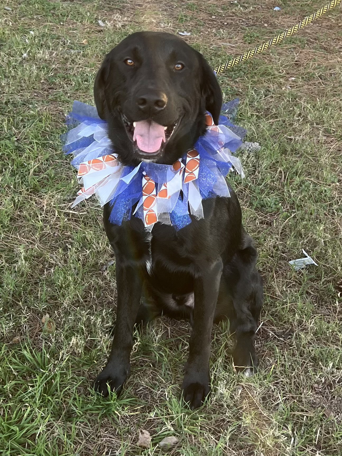 Sprocket Image
