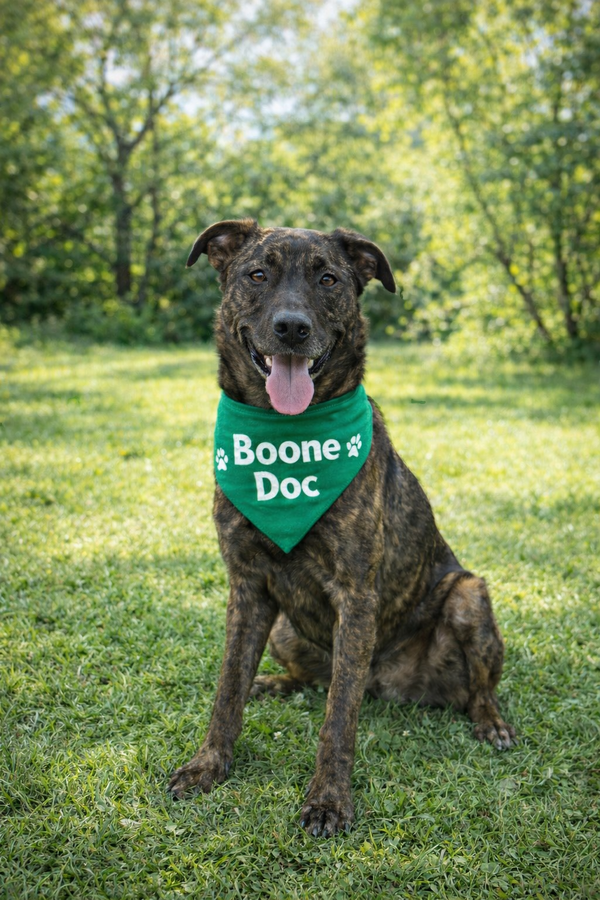 Boone Dok