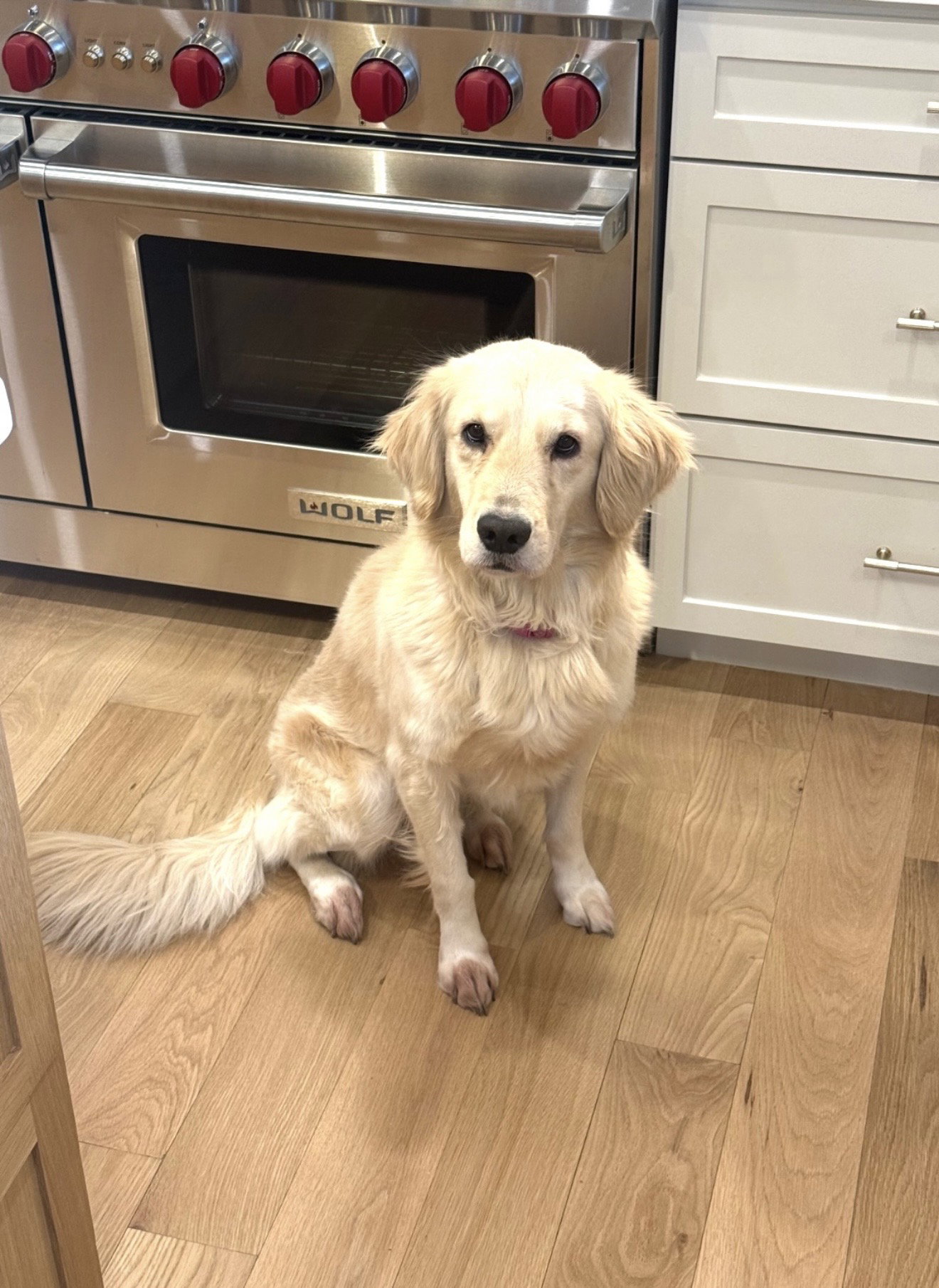 Betty Image