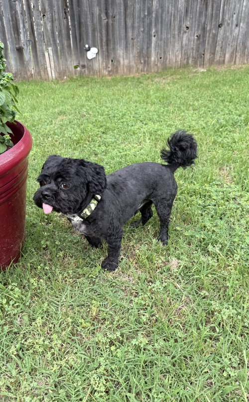 Max