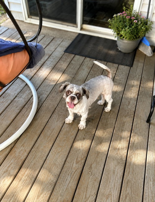 Otis