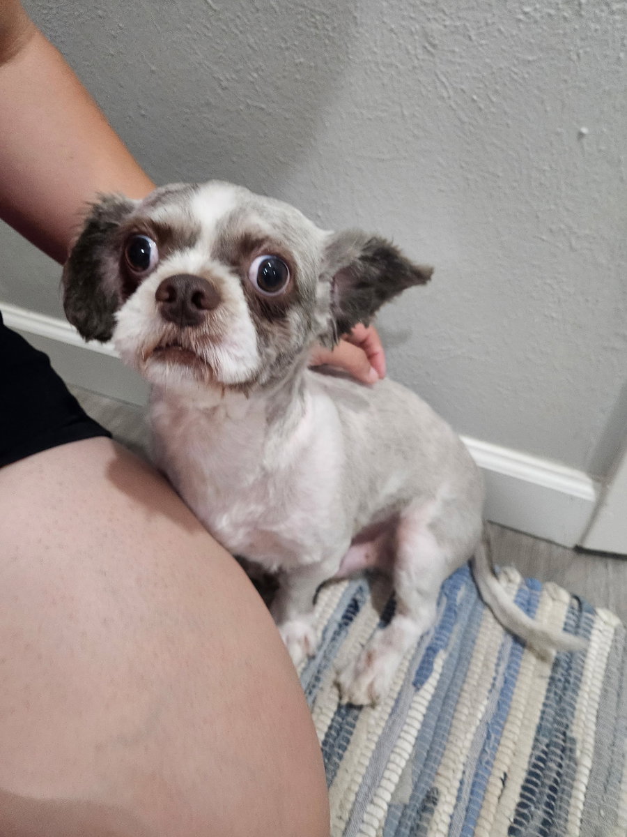 Otis