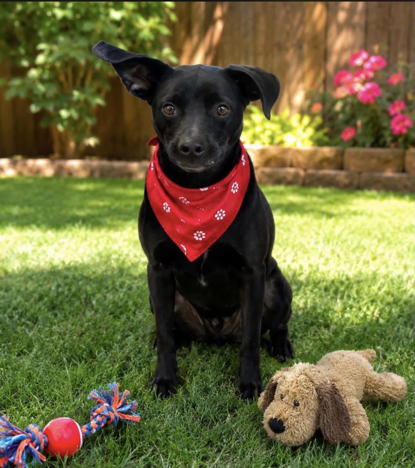 Cooper