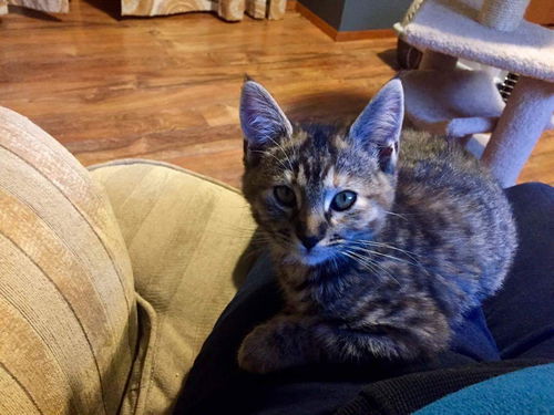 Lucy