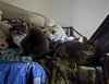 Cleo