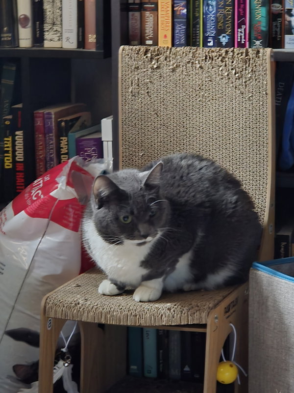Cleo